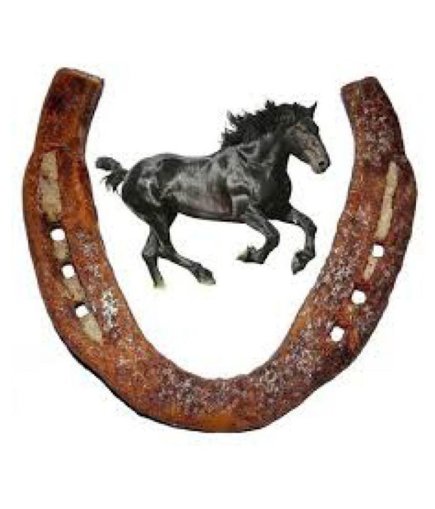 Buy KANISHQ Original Kale Ghod Ki Naal/ Black Horse Shoe for Good Luck