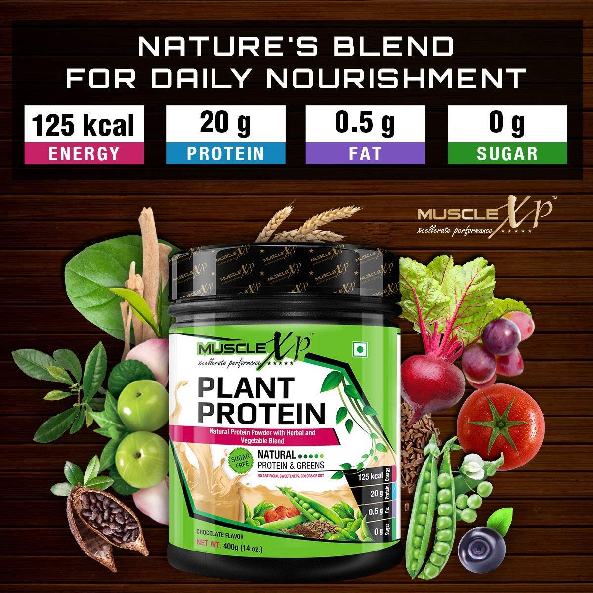MuscleXP Plant Protein Natural Protein Powder 400 gm Buy MuscleXP Plant Protein Natural