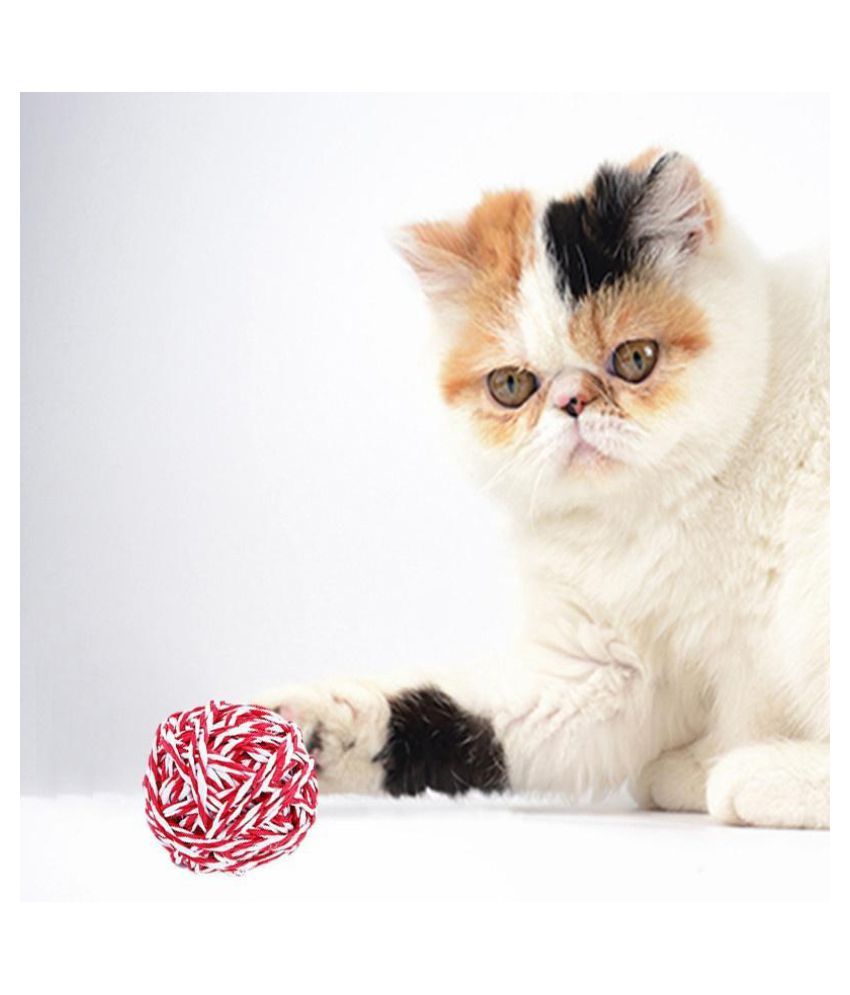 Cat Pet Weave Ball Teaser Play Chewing Rattle Scratch Catch Toy (Color
