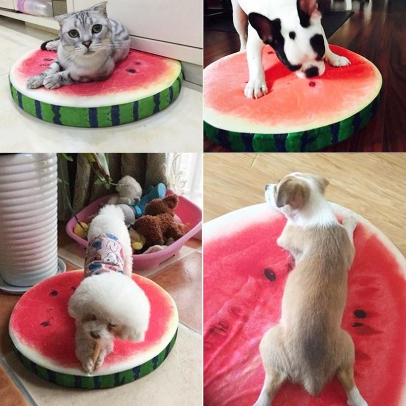 funny dog beds