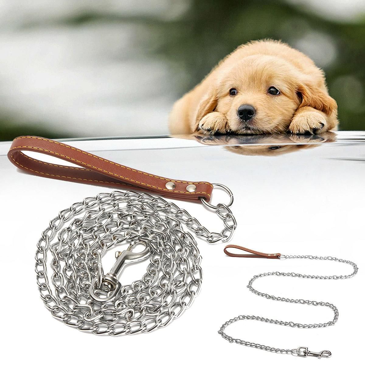 puppy chain leash