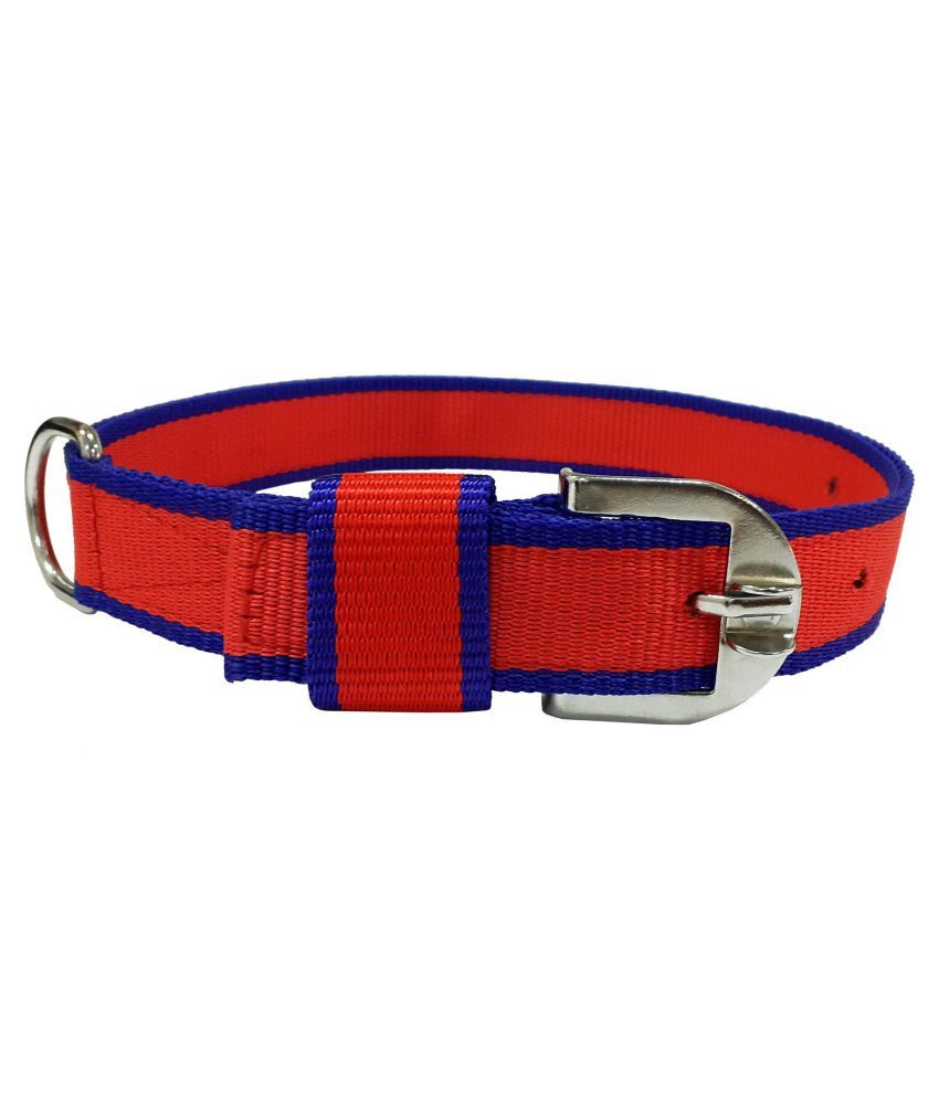     			Dog Collar