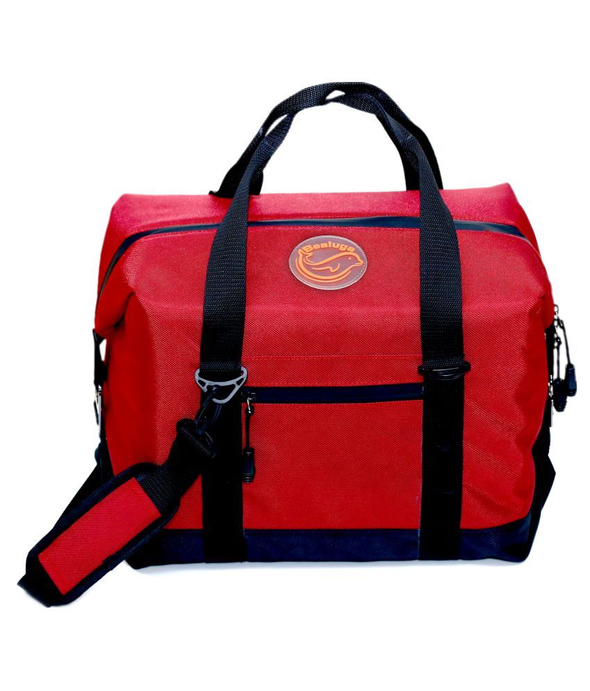 Insulated Cooler Bag 22 Liters: Buy Online at Best Price on Snapdeal