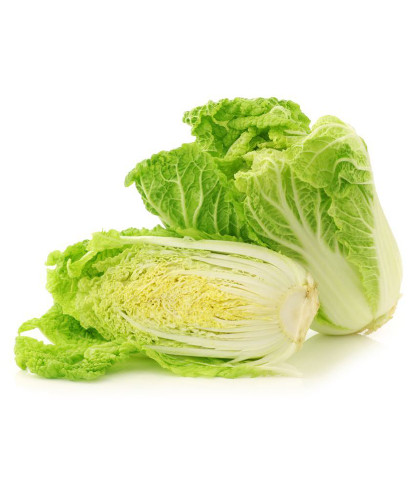     			Jioo Organics | F1 Hybrid Premium Chinese Cabbage Seeds {Salad}