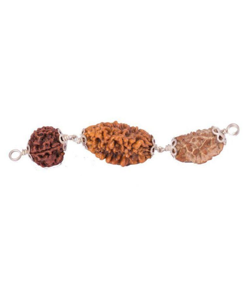 Mesh Rashi 2+3+5 Mukhi Rudraksha 100 Certified & Original By Pandit NM Shrimali Buy Mesh Rashi