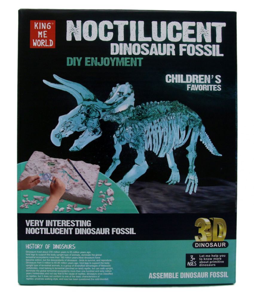 excavation kit dinosaur 3d