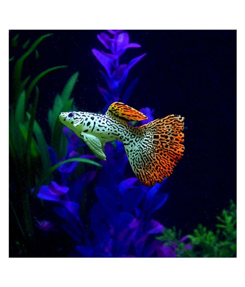 aquarium toys snapdeal