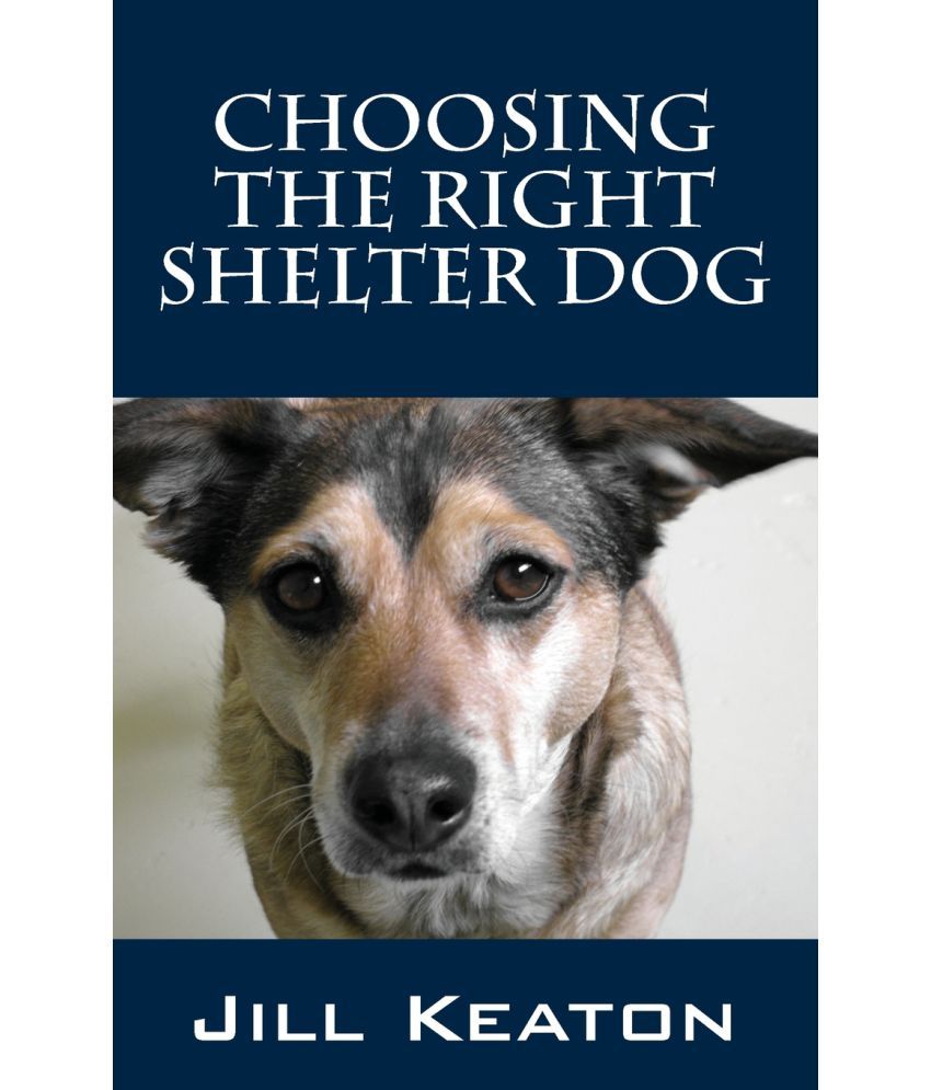 Choosing the Right Shelter Dog Buy Choosing the Right Shelter Dog