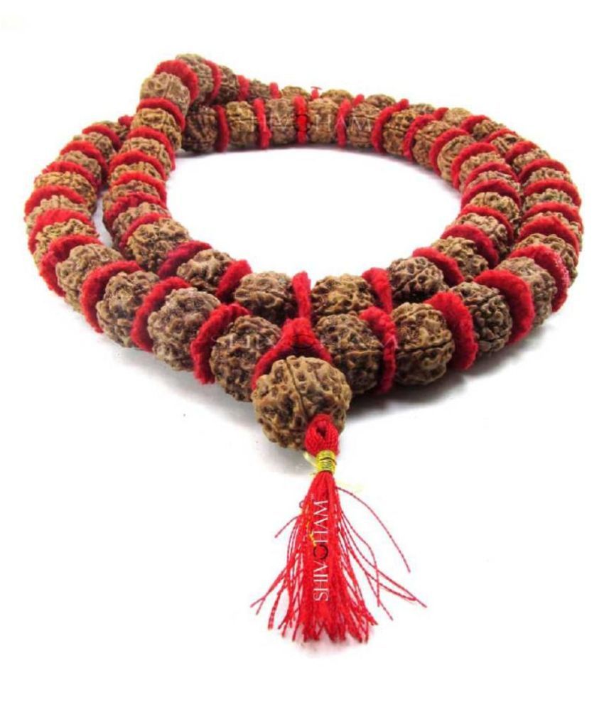 ShivaRatna 54 1 Beads Rudraksha Kantha Mala 5 Mukhi Rudraksha Beads Size 18mm Approx Buy 