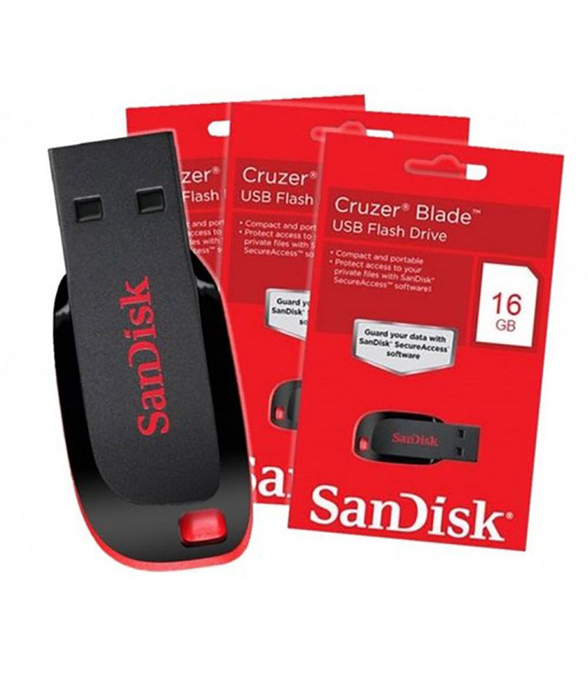 lowest price on sandisk 256gb flash drive