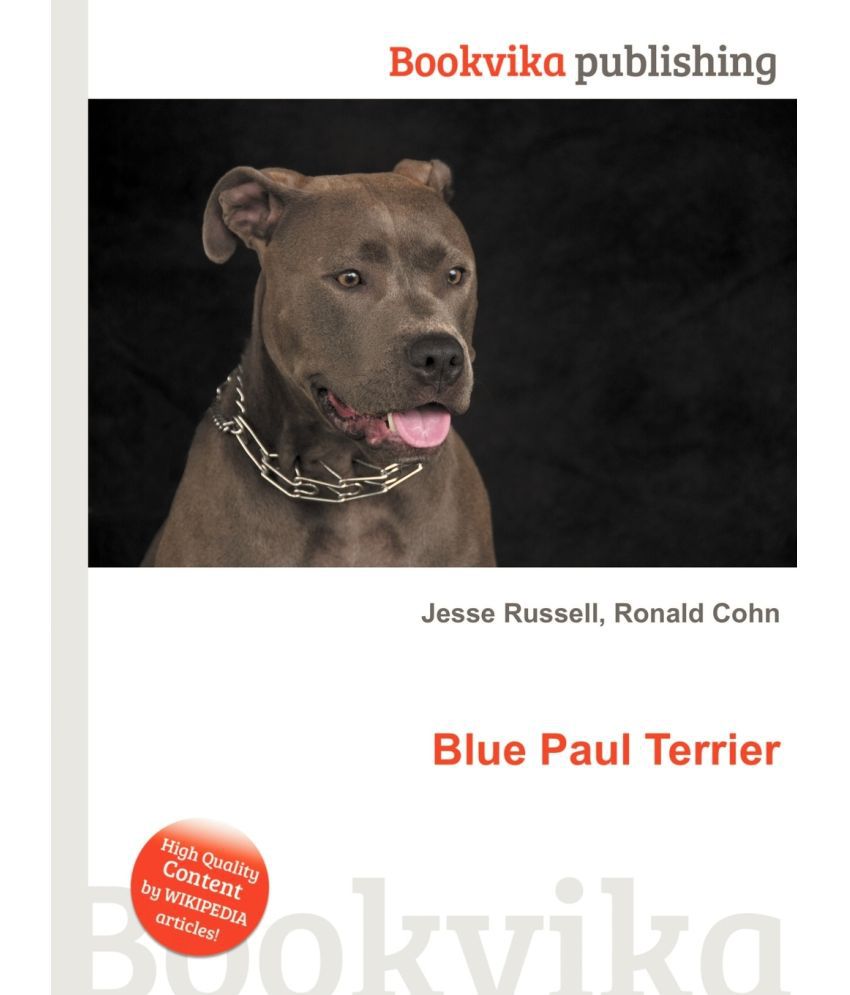 blue paul terrier