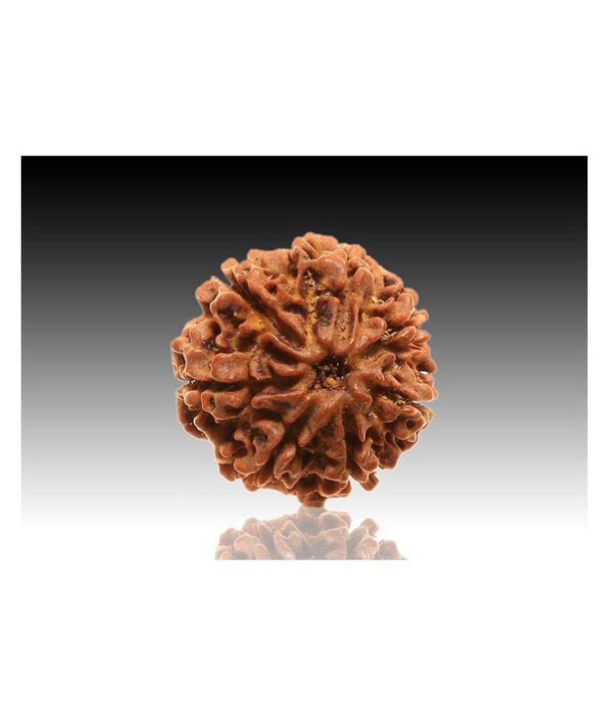     			7 faced Rudraksha 100% original Lab certified 7 face mukhi Nepali beads / Divine Almighty Genuine Rudraksha by RUDRA