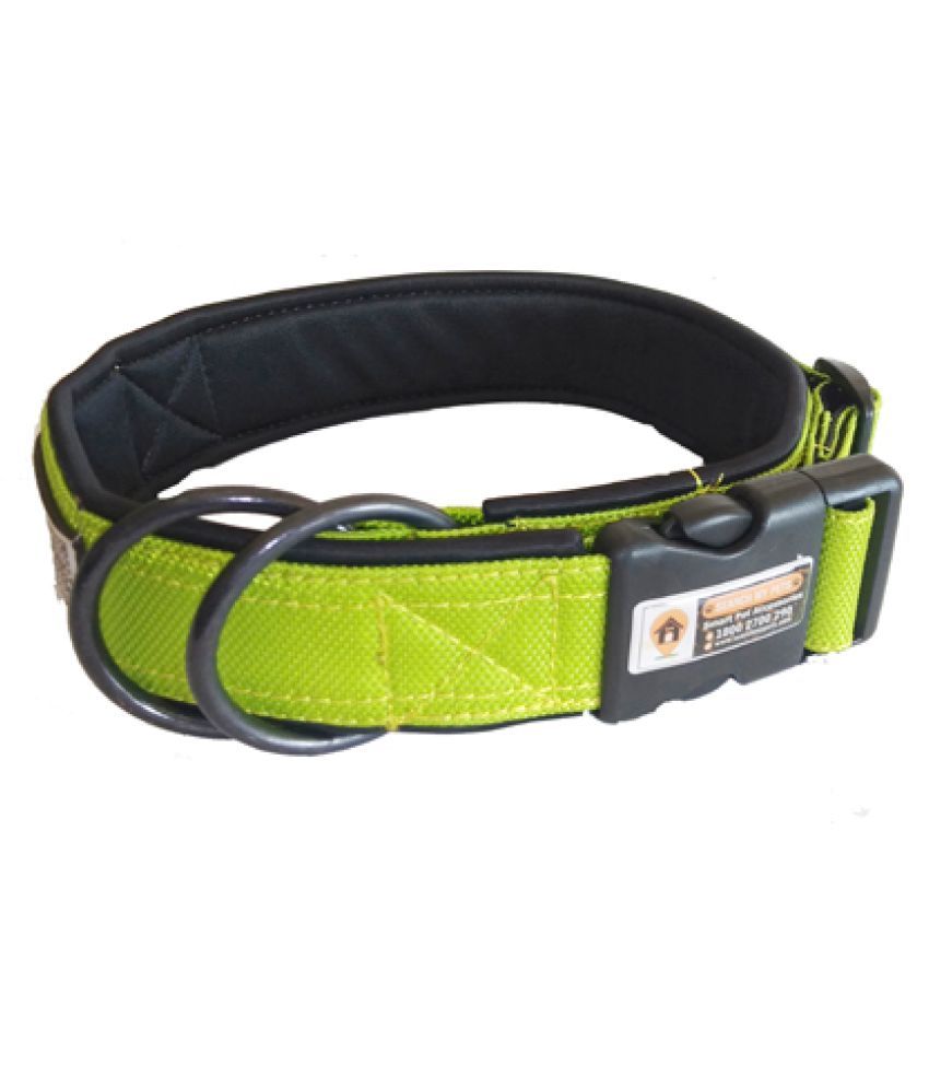 Dog belt online Clearance