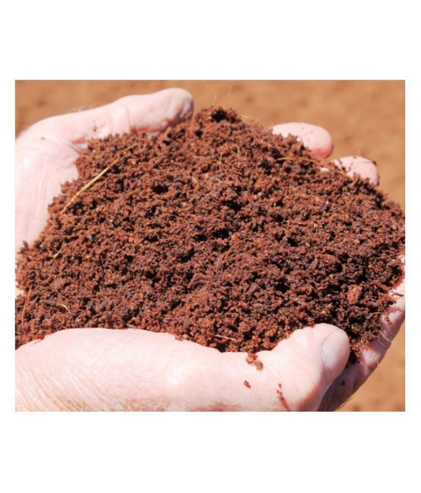 Cora Coco coir Garden Plant Potting Soil 500 gms 1 kg