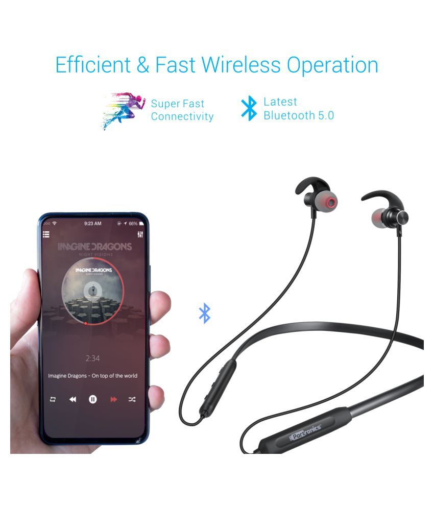 portronics 216