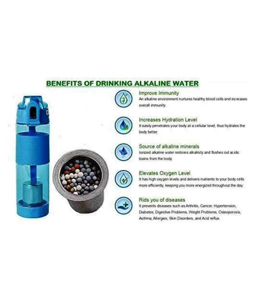 DSMS alkaline stick water purifier Blue 600 mL Water Bottle set of 1