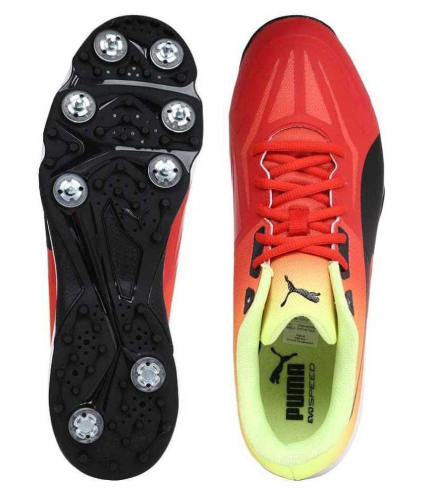 puma evospeed 18.1