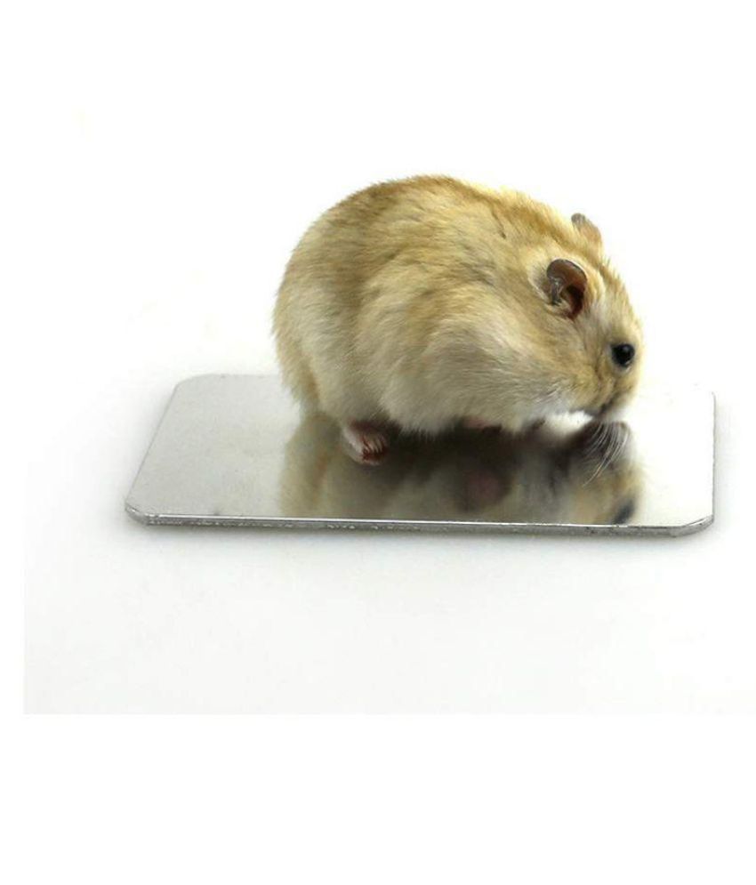 Jainsons Pet Products Small Animal Aluminum Cooling Pad, Washable Pet