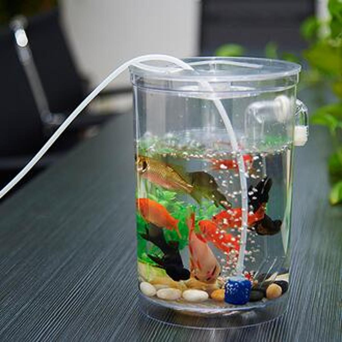 Cylindrical Mini  Aquarium  Fish  Tank Small Ecological 