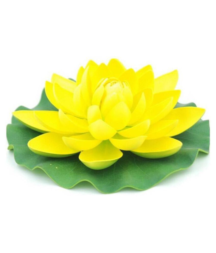     			Green plant indoor Lotus Multicolour Floating Flowers - Pack of 1