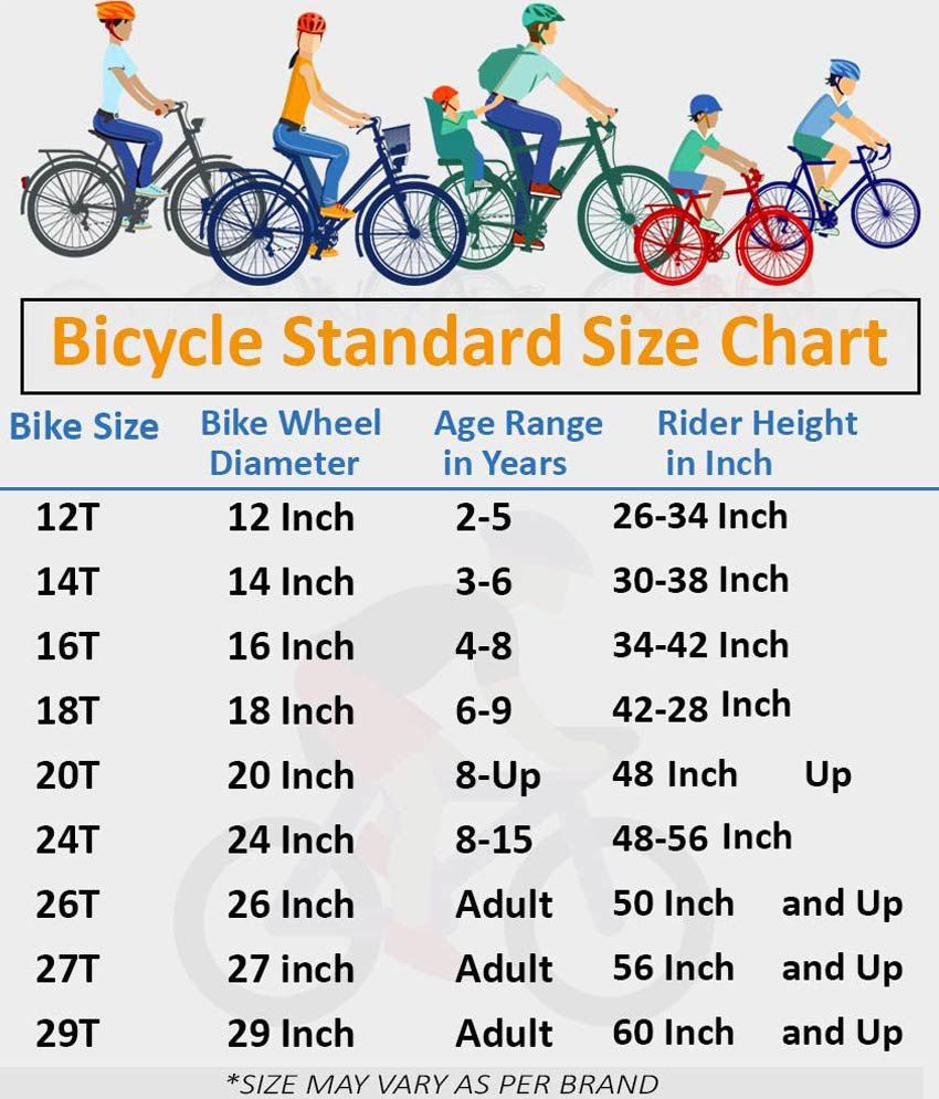 adult cycle price