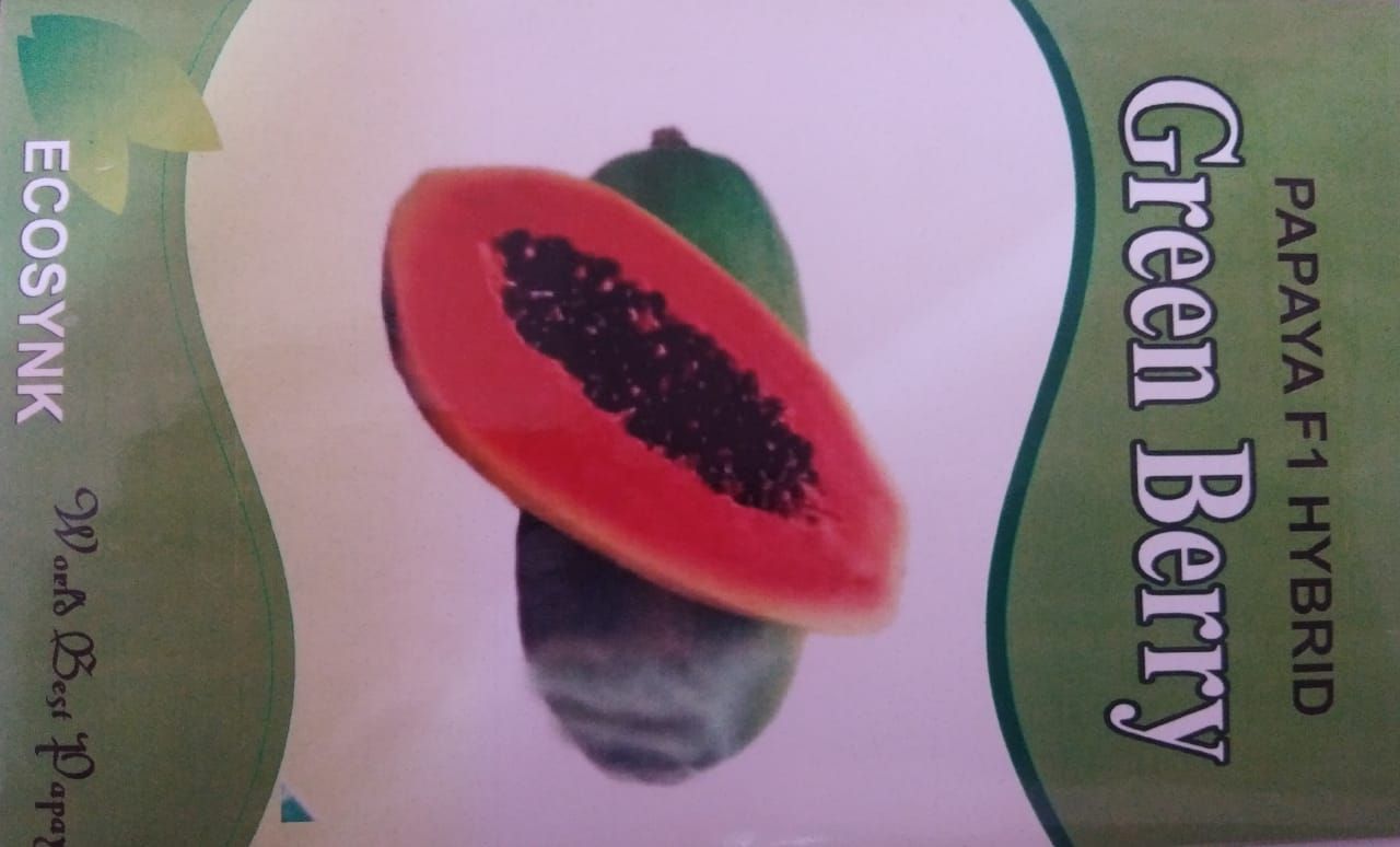 Green Berry Papaya Hybrid Seeds Buy Green Berry Papaya Hybrid