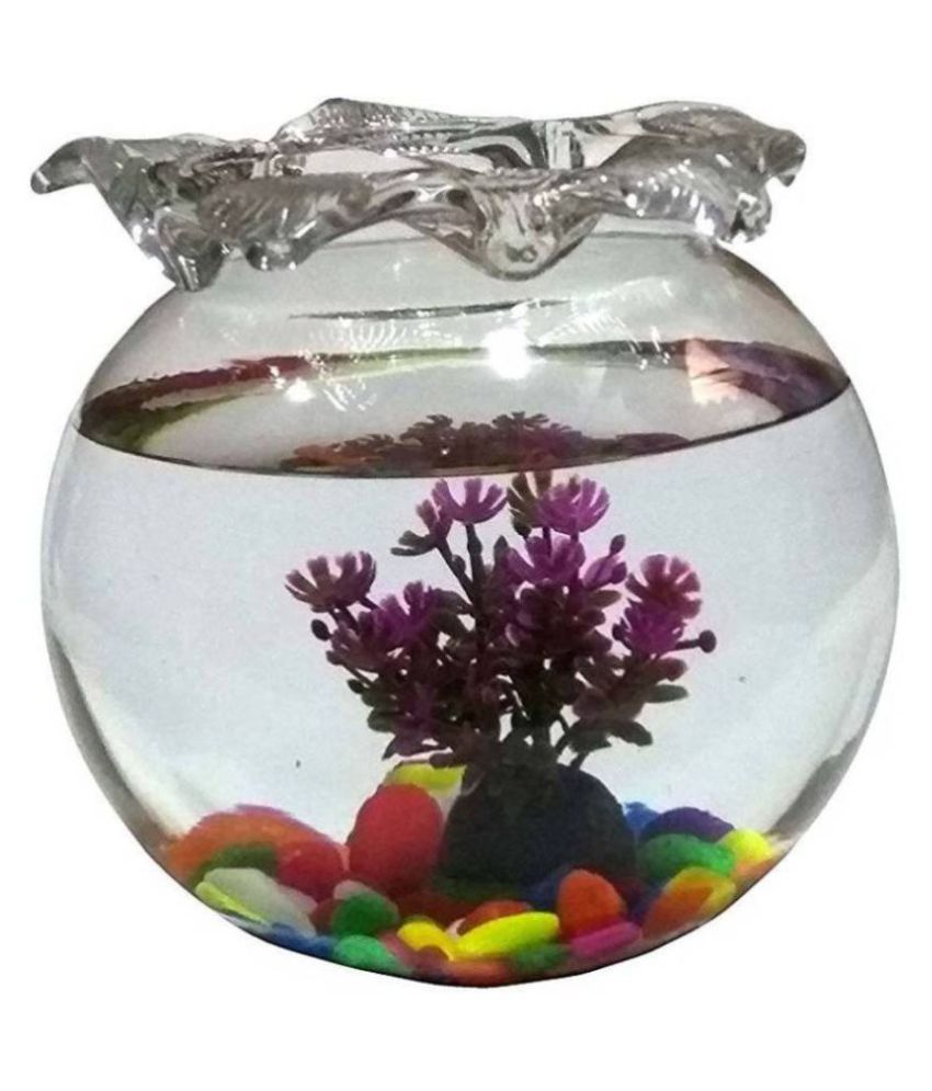     			AFAST Clear & Transparent Round Glass Fish Tank/Pot For Joom View With Designer Neck & DecorativeAccessories Of 8 Inch Table Top-fb06 | Aquarium Tank