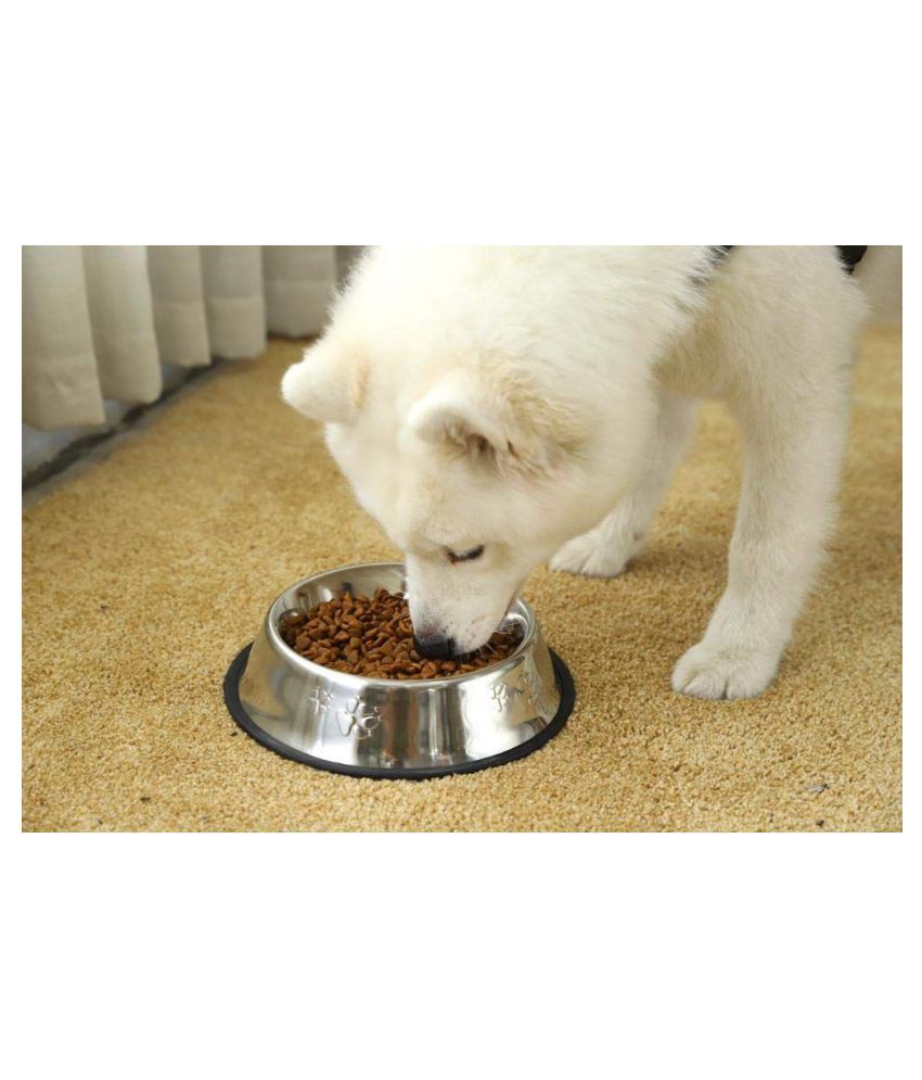 large dog feeding bowls
