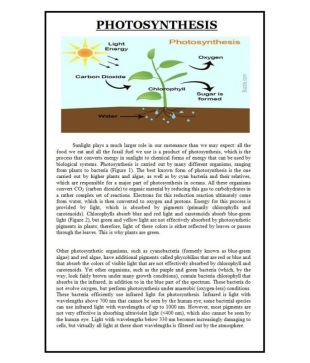 Melody S Photosynthesis Biology Working Science Project Model Buy Melody S Photosynthesis Biology Working Science Project Model Online At Low Price Snapdeal