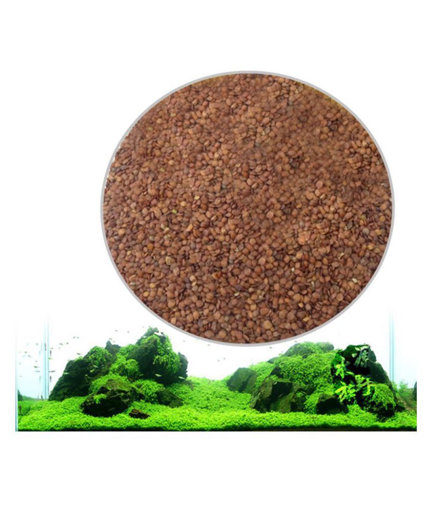 Aquarium Plant Seeds Aquatic Water Grass Decoration as Garden Fish Tank