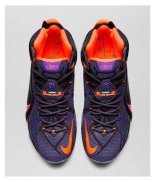 lebron basketball shoes india