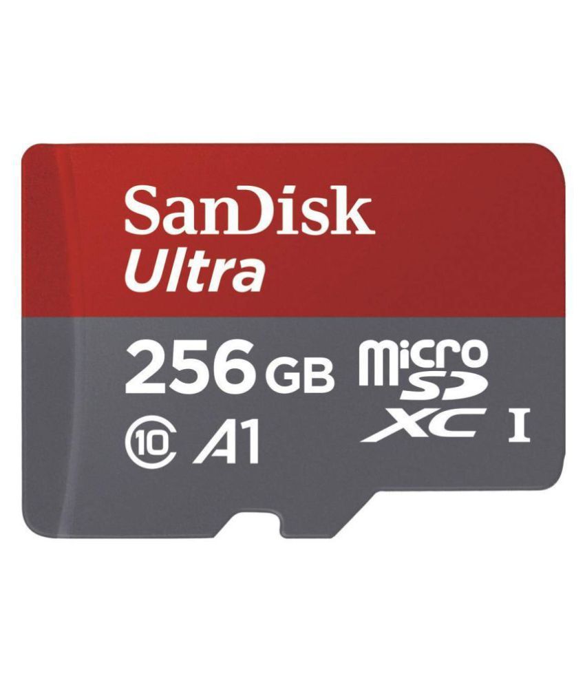 Sandisk 256 гб карта памяти