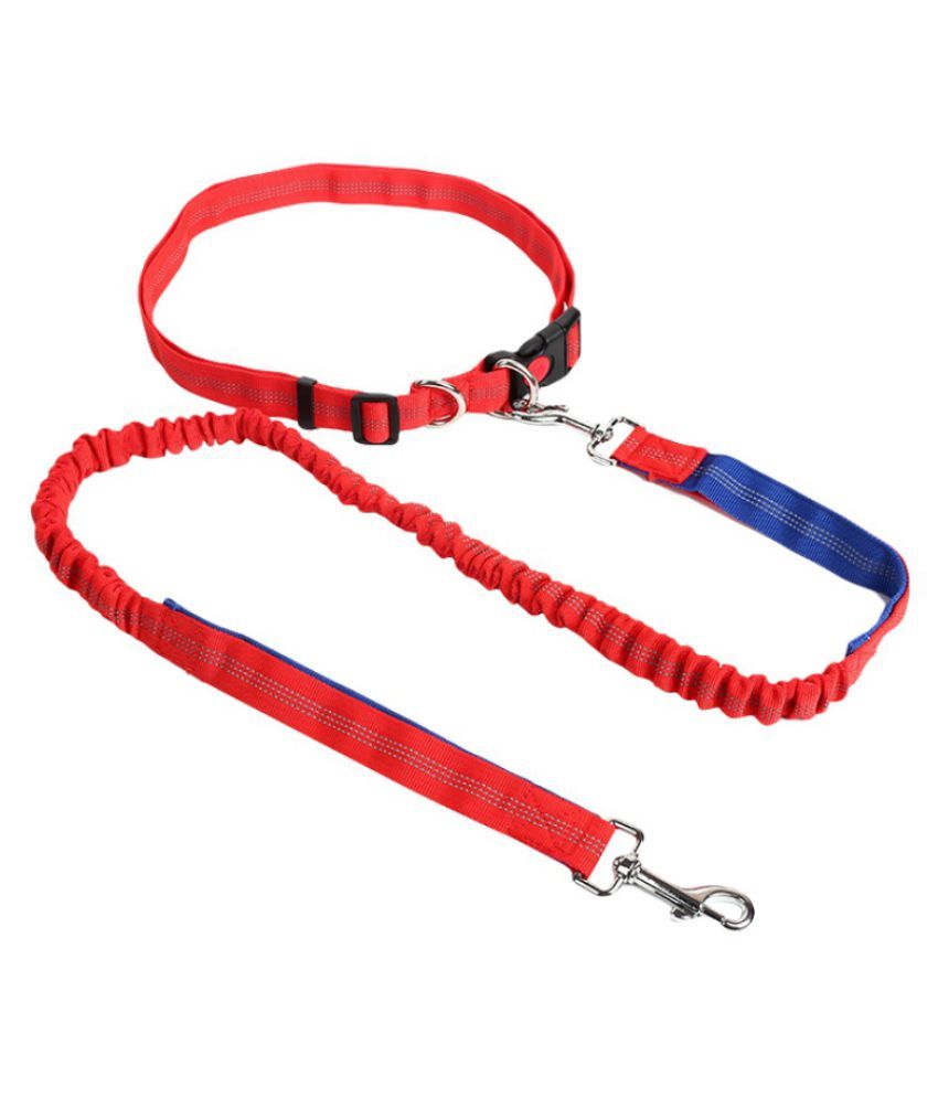 Puppy belt price Clearance