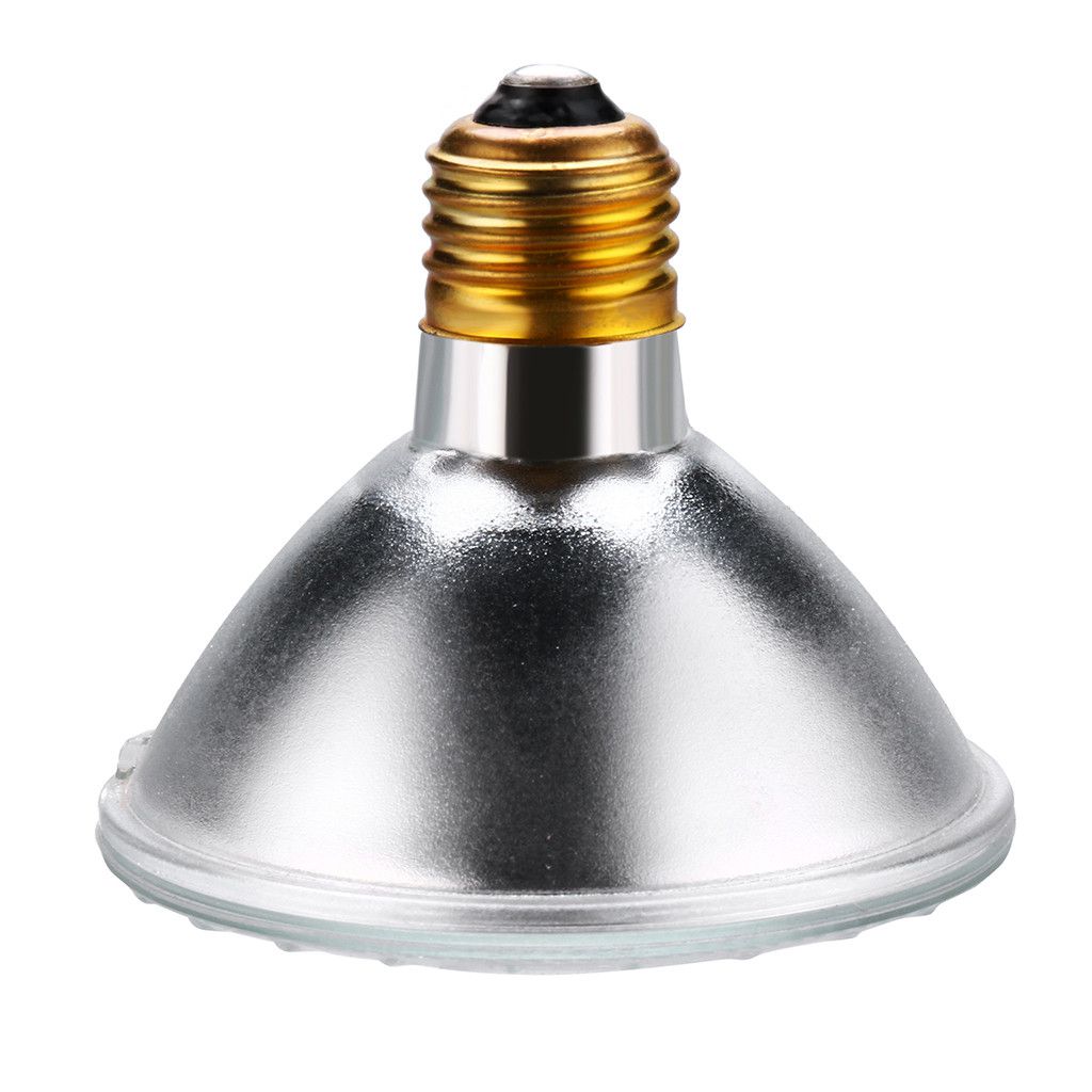 Halogen Light Glass Cover, High Halogen Flood Light Bulbs for Indoor: Buy Halogen Light Cover, High Efficiency Halogen Flood Light Bulbs for Indoor Online at Price - Snapdeal