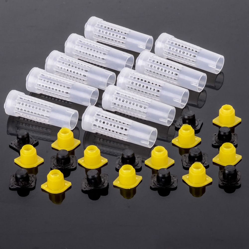 10Pcs Beekeeping Rearing Cup Kit Queen Bee Protective Cage Beekeeper Equipment