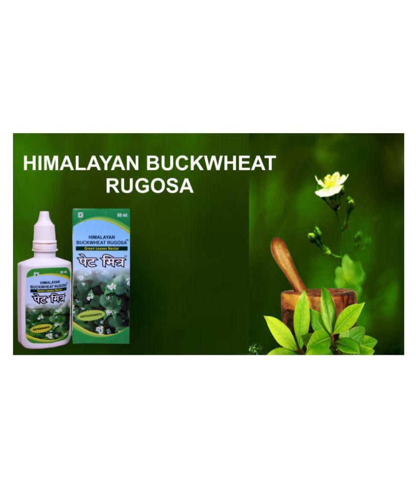 Himalayan Buckwheat Rugosa Pait Mitra Liquid 100 ml Pack Of 5 Buy