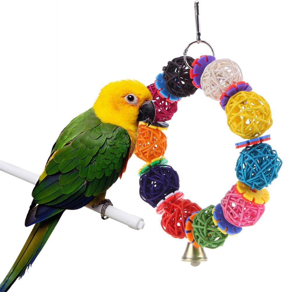 buy bird toys online