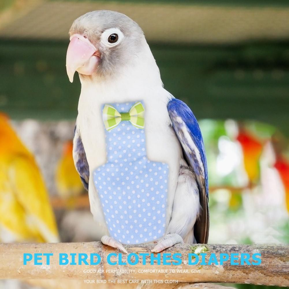 pigeon diapers
