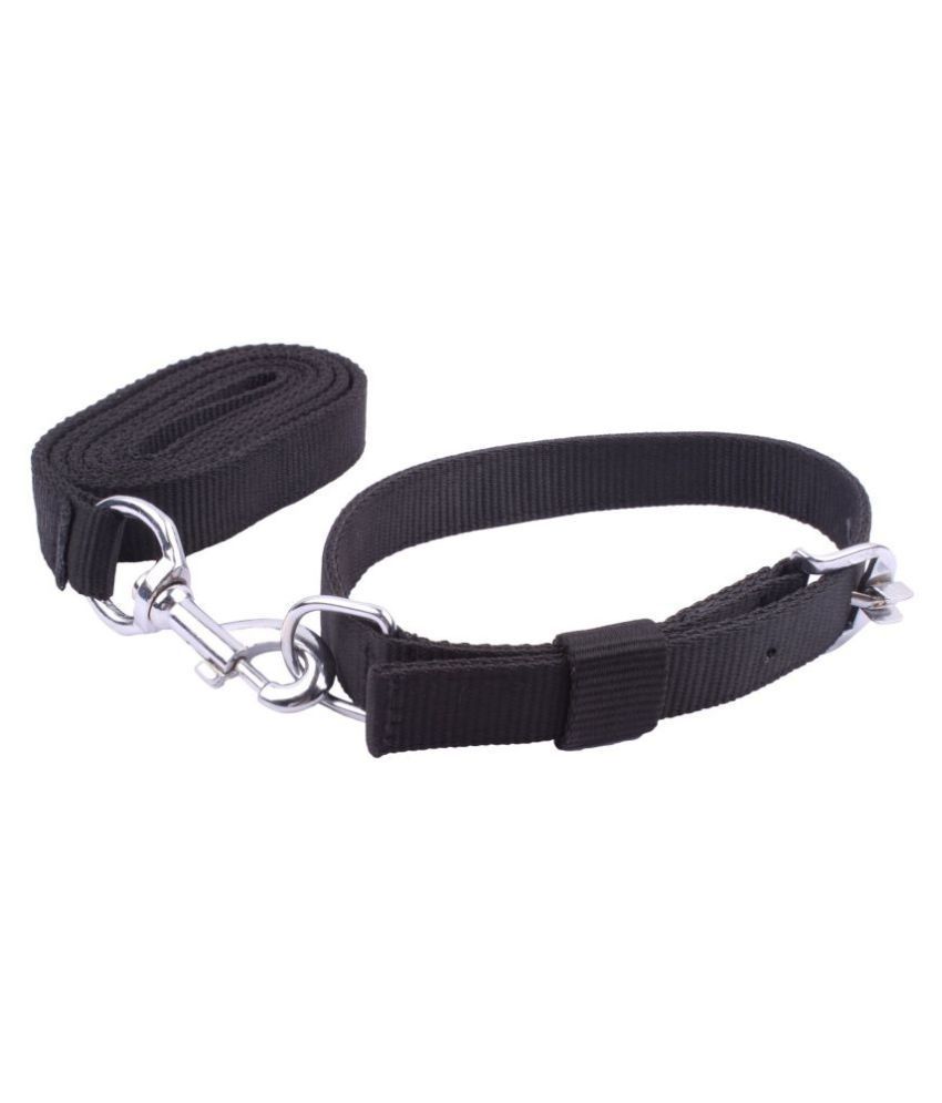 dog collar belt