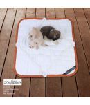 Cotton Quilted Rectangle Cat Dog Pet Bed Mattress | Foldable Padded Pet Mat | Light Weighted Mattress for Pet_IVORY