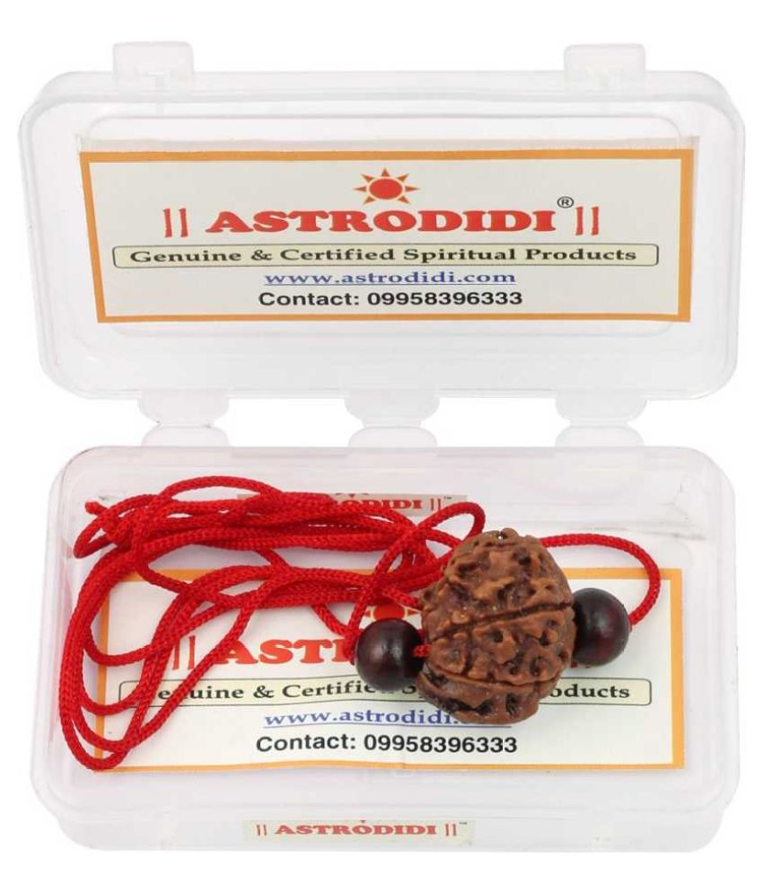     			Astrodidi Ganesh Rudraksha With Red Chandan Beads