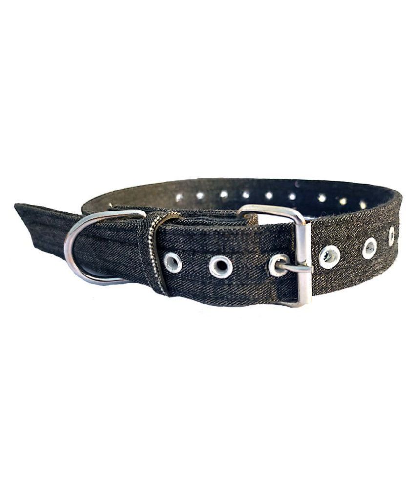 dog collar shop