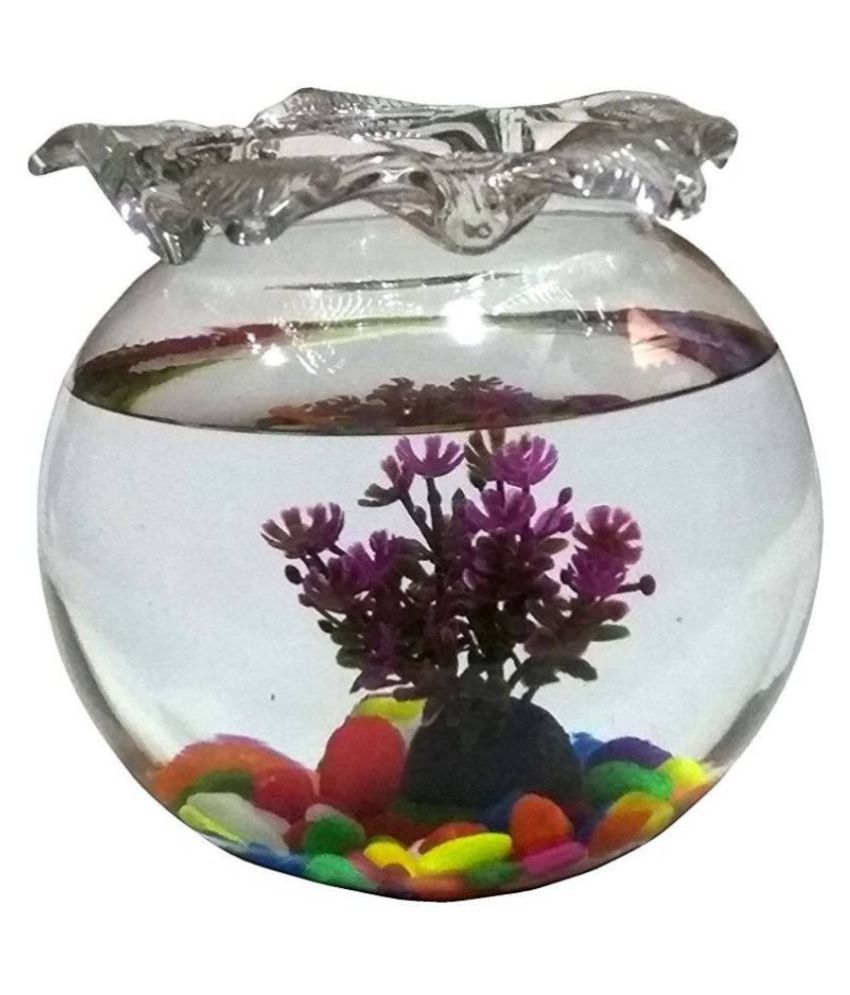 Somil Clear & Transparent Round Glass Fish Pot For Joom View With