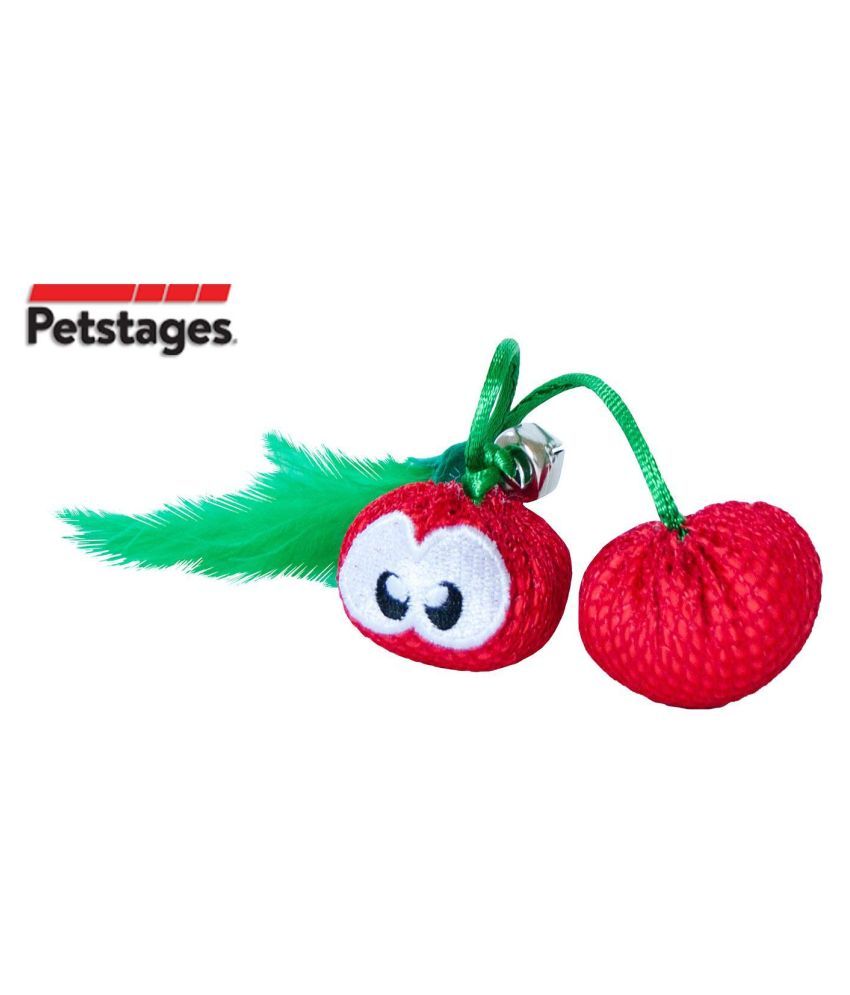 cat dental care toys