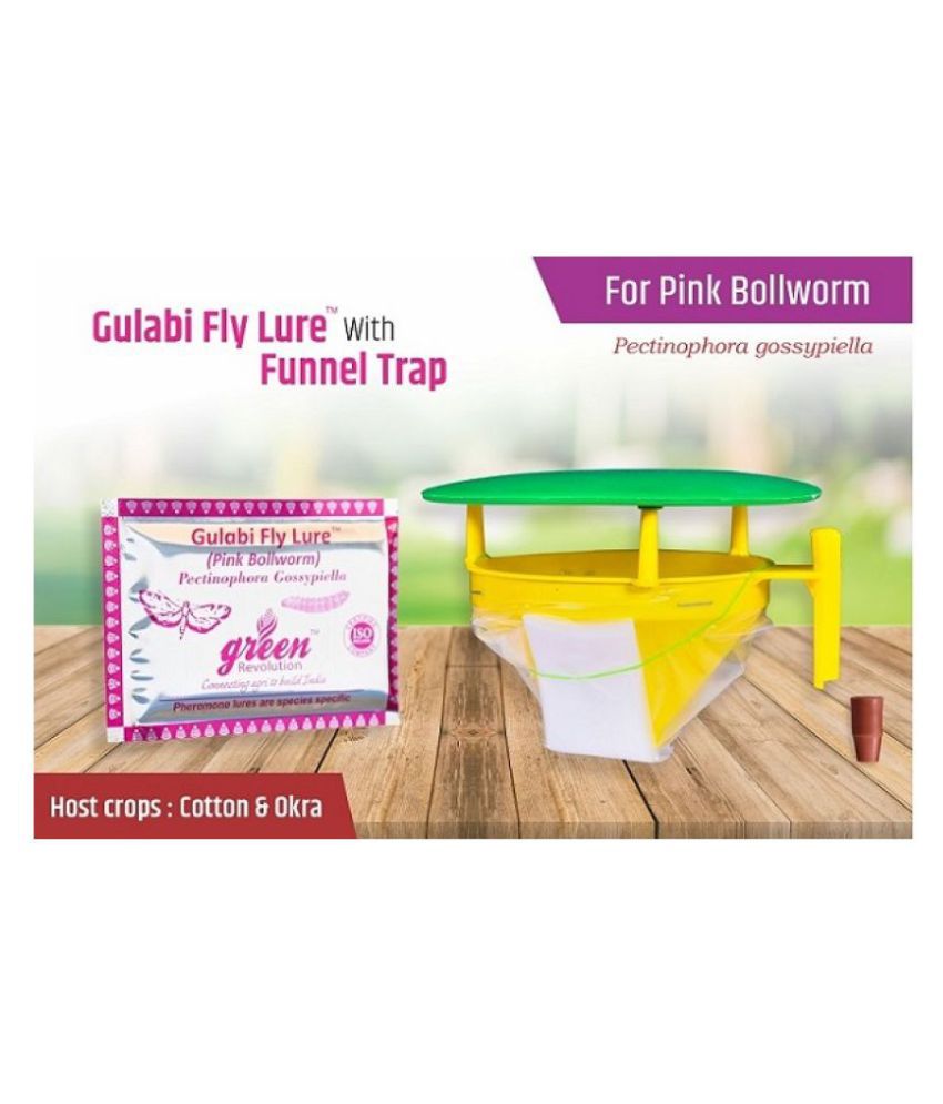     			Funnel Pheromone Trap with Gulabi fly pheromone Lure (Pink Bollworm Pheromone Trap) Pack of 10, Complete for 1 Acre.