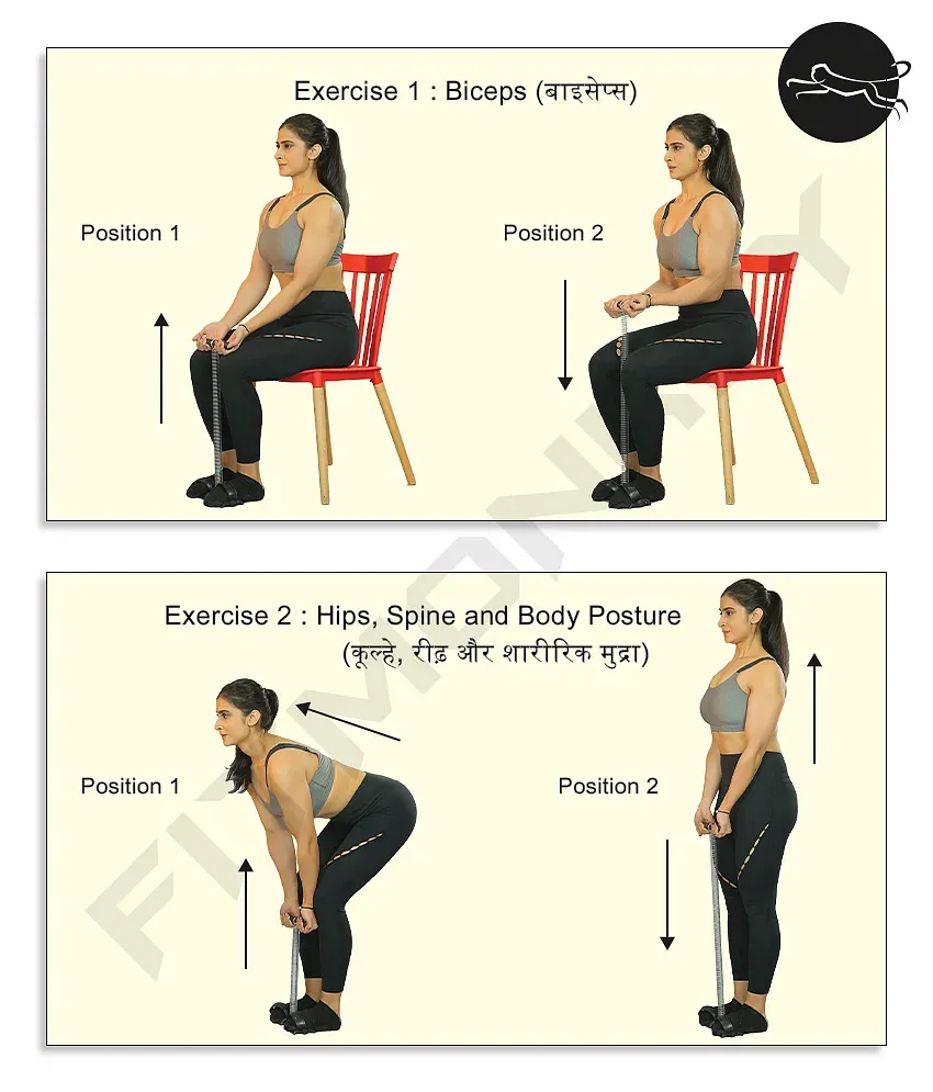 Fitmonkey tummy trimmer store