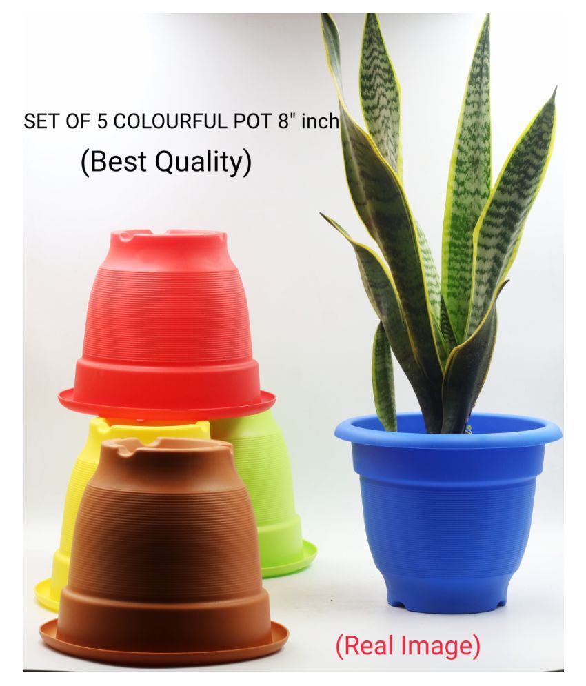 online bagicha Both Flower Pot Buy online bagicha Both Flower Pot