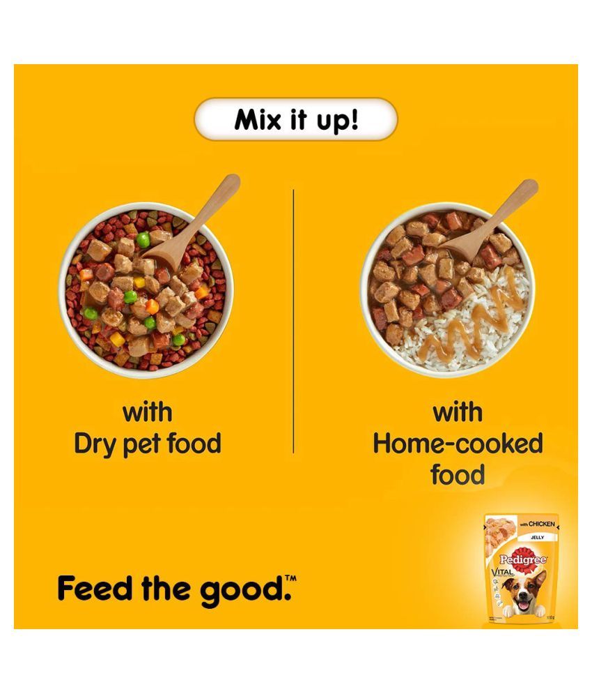 Pedigree Adult Chicken in Jelly Wet Dog Food (12 Pouches x 100gms) Buy Pedigree Adult Chicken