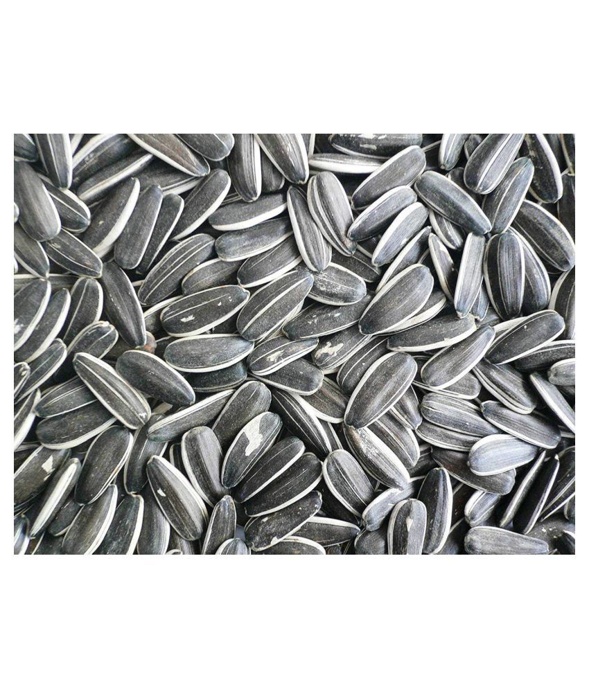Sunflower seed for birds 1000g By Candeal Mart Buy Sunflower seed for