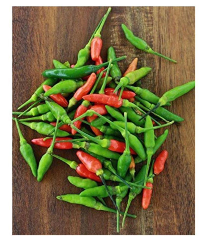     			Red Bird Eye Chilli ,Tiny Chilli Seeds 30 SEEDS WITH MANUAL